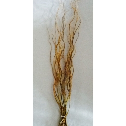 Curly Willow Tip 30-36" (12)
